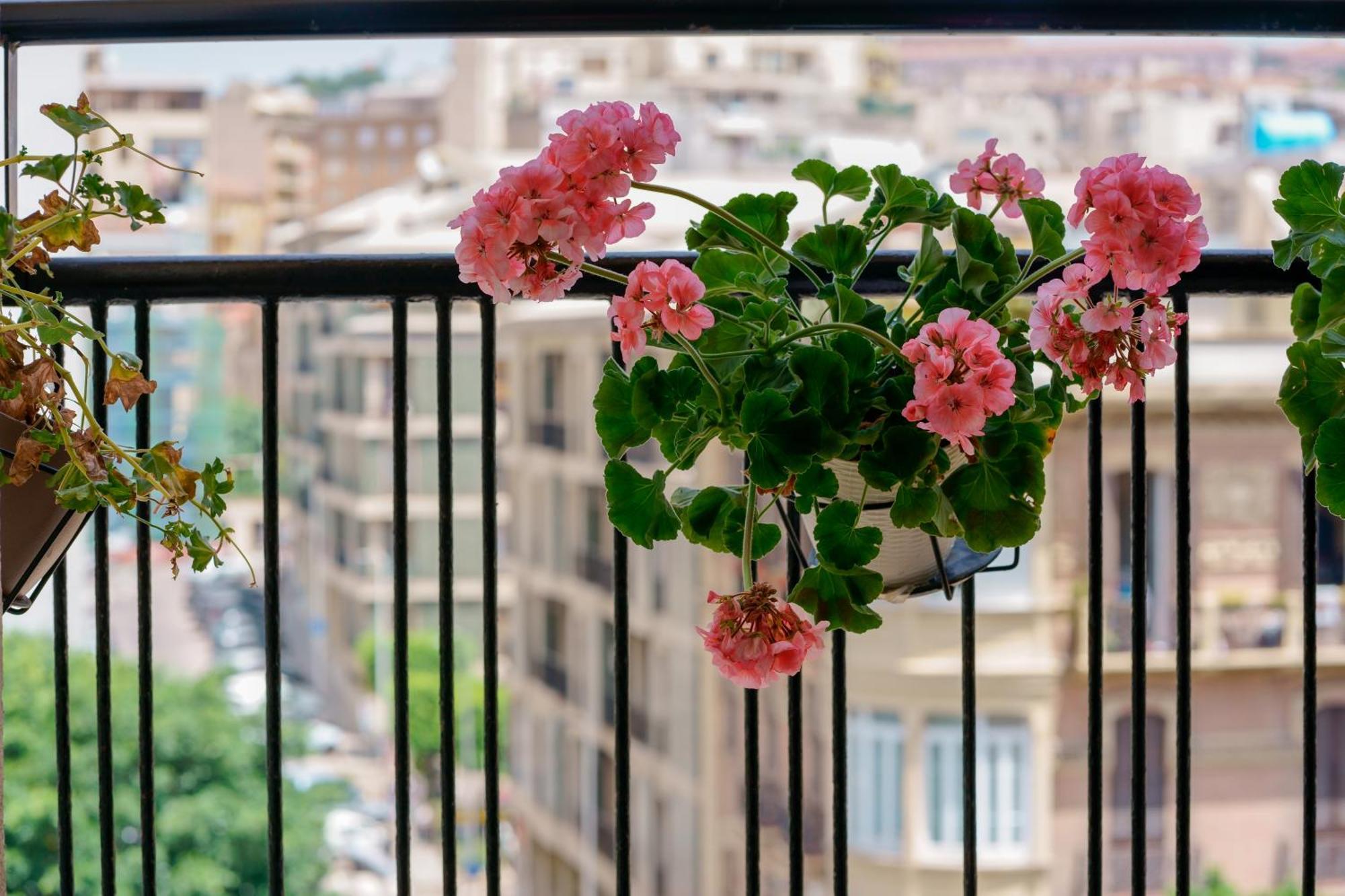 Welcome Cagliari Extérieur photo